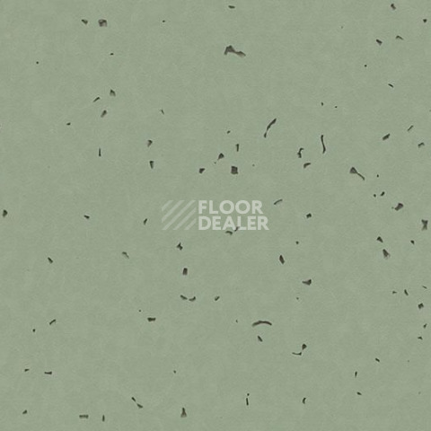 Линолеум Forbo Sphera Energetic 50236 thyme фото 1 | FLOORDEALER